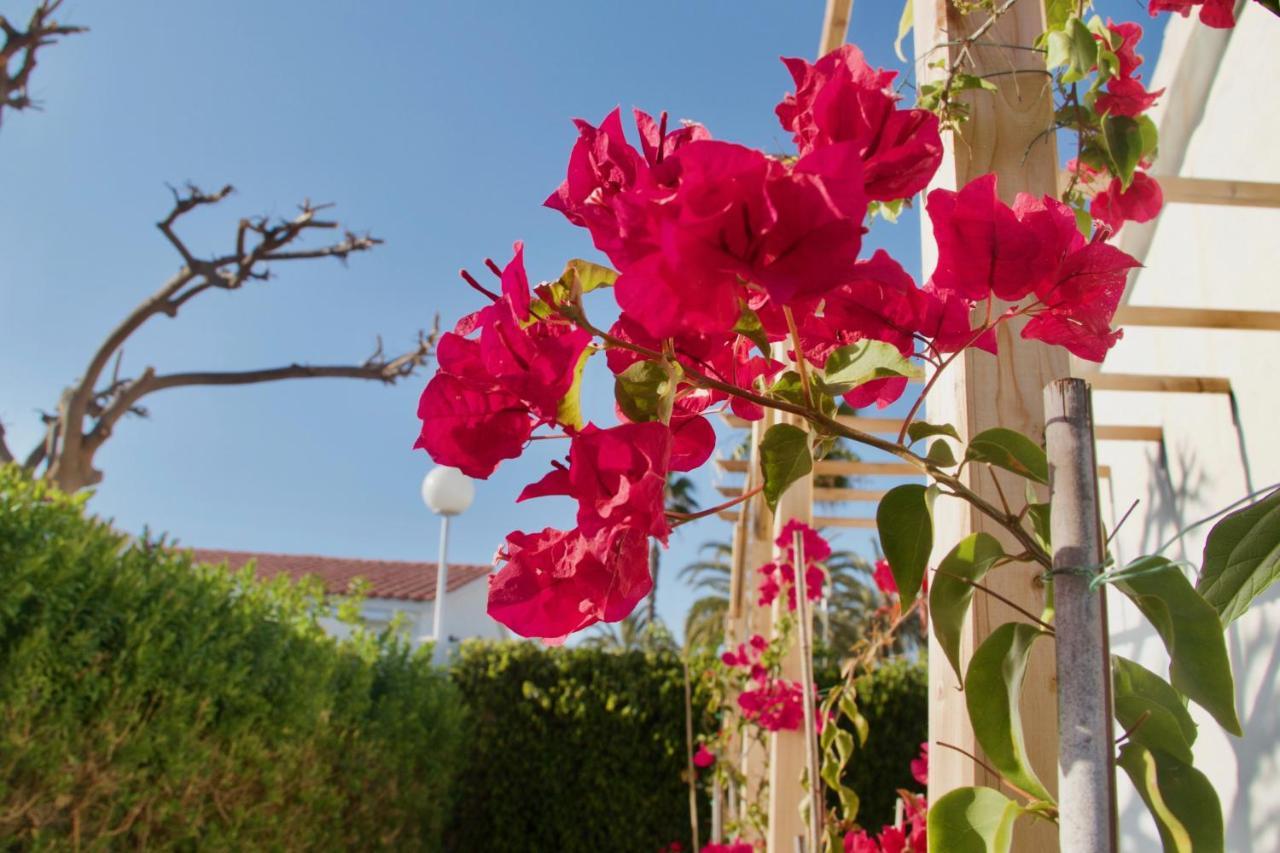 דירות פלאייה דל אינגלז Casita Blanca Near Yumbo מראה חיצוני תמונה